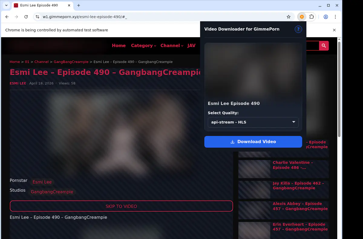 Gimmeporn Video Downloader browser extension screenshot 3